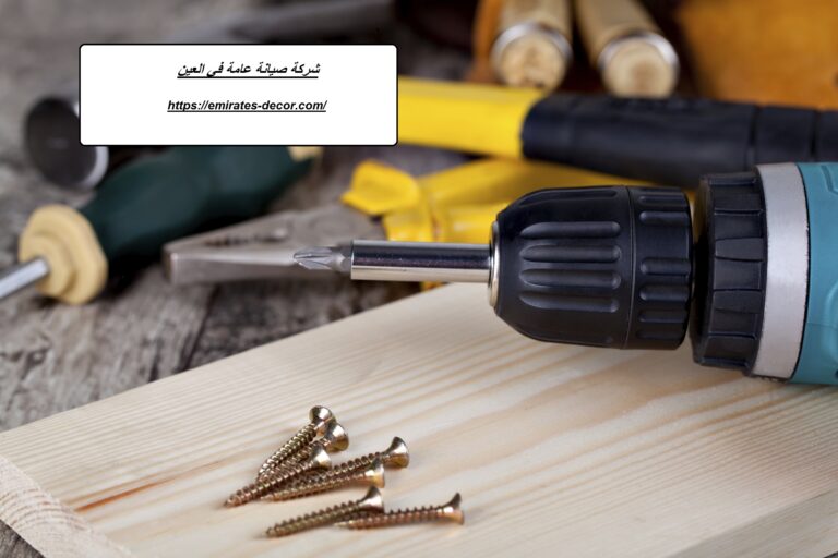 شركة صيانة عامة في العين